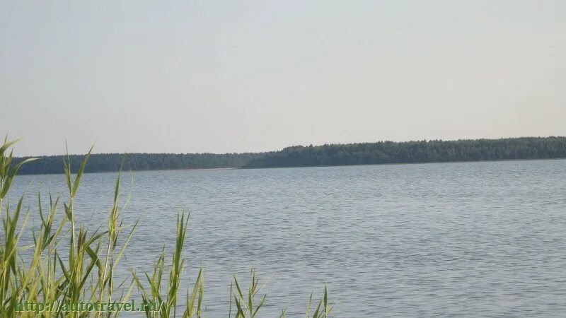 Седвежье озеро курганская обл. Озеро медвежье курганская. Озеро медвежье курган. Мертвое море зауралья озеро медвежье. Озеро медвежье курган.