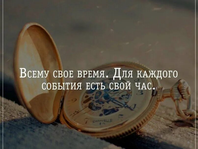 Всему своё время цитаты. Всему своего время. Не суетитесь всему свое время. Надпись всему свое время.