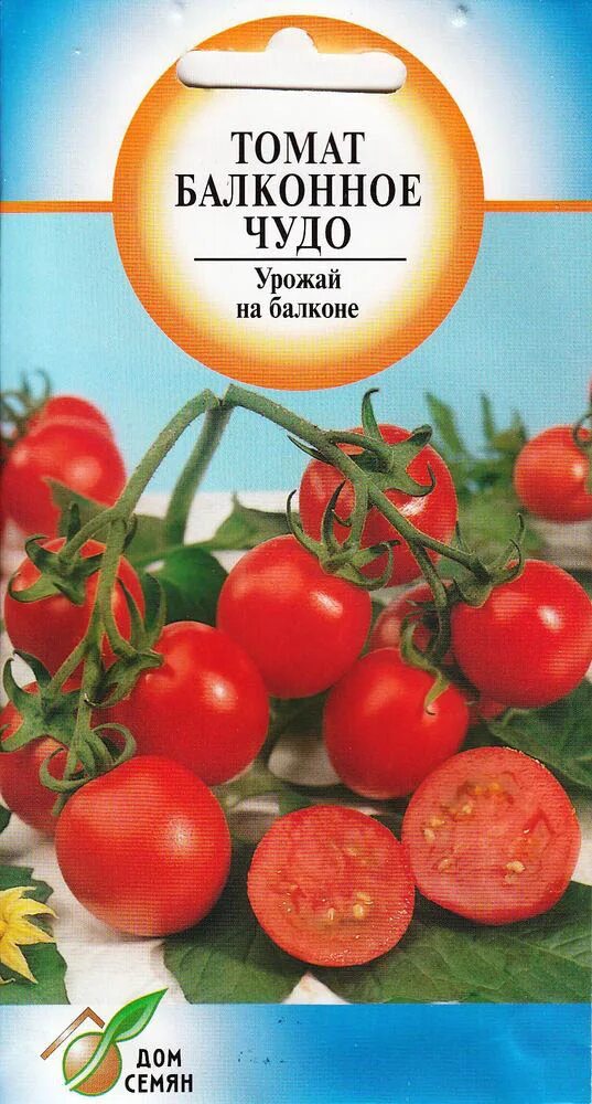 Балконные помидоры купить семена. Семена томат балконное чудо. Томат вишневидный балконное чудо. Балконное чудо помидоры семена. Томаты для балкона низкорослые.