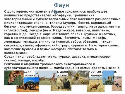 Африка краткое содержание