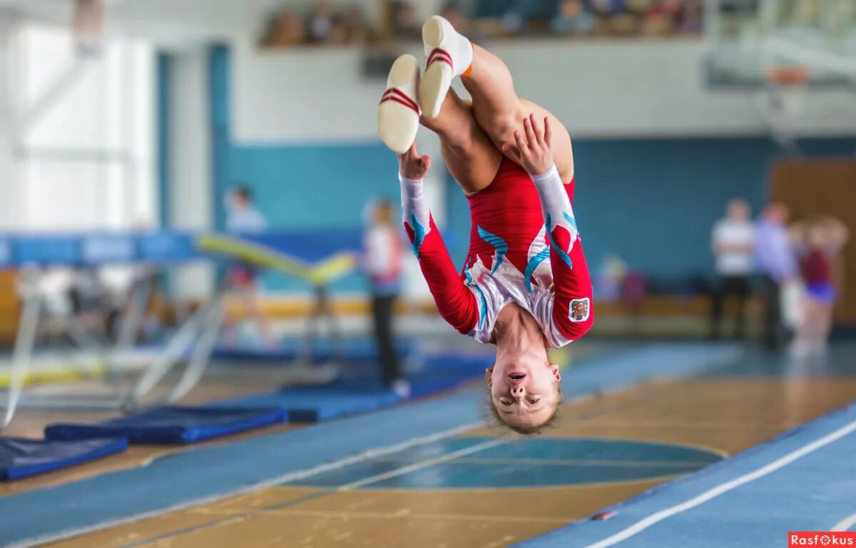 Гимнастическая скакалка gymnastics rope. Элементы художественной гимнастики. Следующую гимнастическую. Упражнение со скакалкой художественная гимнастика. Гимнастические элементы легкие.