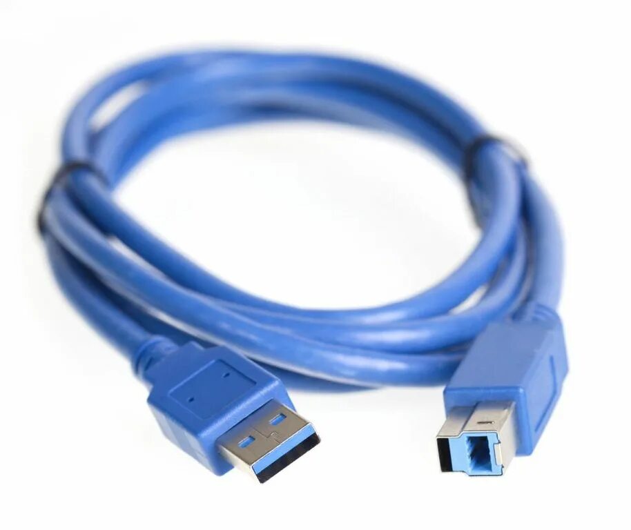 Купим кабель b. Кабель am BM USB 3.0. Кабель USB 3.0 Type a Type b. Кабель USB Buro USB3.0-am/BM. Кабель 3м USB3.0-am/BM-3 A(M)/B(M) Buro.