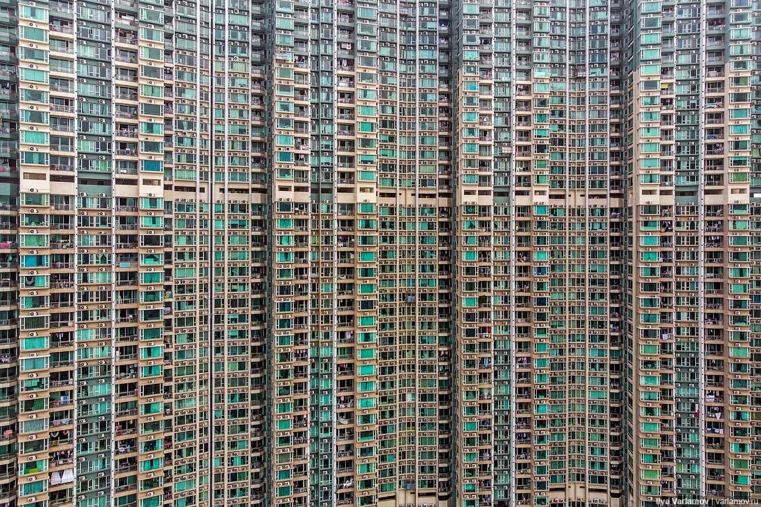 Живу на 20 этаже. Дом Муравейник в Гонконге. Дом человейник Гонконг. Бетонные джунгли Гонконга. Человейник Шанхай.