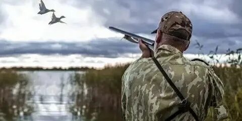 Включи человек охотится на