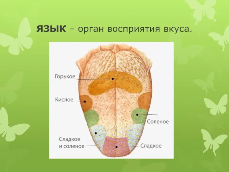 Чувствую язычок
