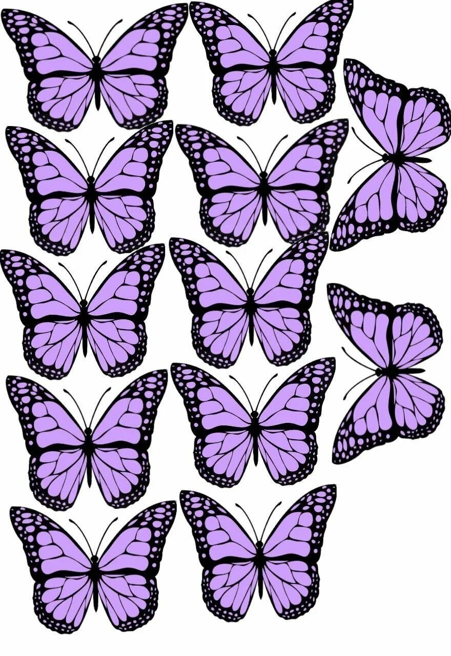 Бабочка фиолетовая. Шаблон бабочки. Сиреневые бабочки. Вафельные бабочки сиреневые. Шаблоны бабочек для букета распечатать