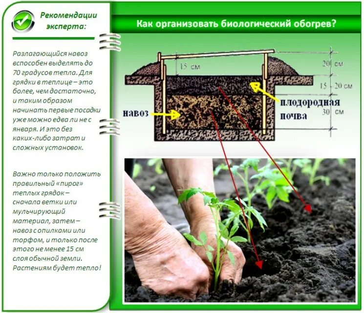 Какая должна быть земля для посадки. Глубина грунта для помидор в теплице. Глубина грунта для огурцов в теплице. Конструкция теплой грядки. Подготовка грунта для огурцов.