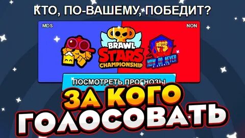 Голосовать чемпионат браво