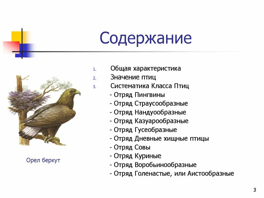 Признаки птиц 7 класс. Общая характеристика птиц 7 класс биология. Таблица отряды птиц дневные Хищные Совы куриные. Отряд куриные общая характеристика. Отряд дневные Хищные птицы общая характеристика.