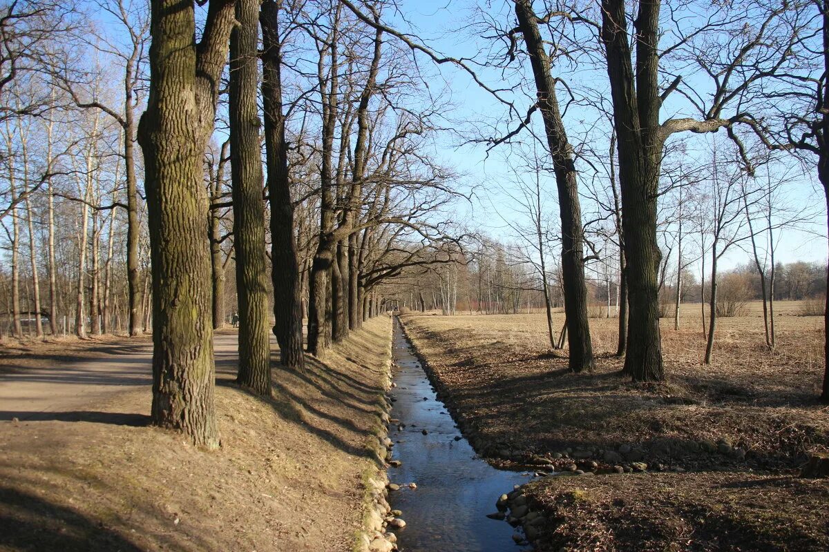 нижний отдельно. отдельный парк в царском селе. нижний парк пушкин. нижний отдельно. отдельный парк в пушкине.