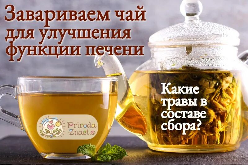 Польза чая для печени. Чай для печени. Фиточай для печени. Чай для печени в аптеке. Печеночный чай.