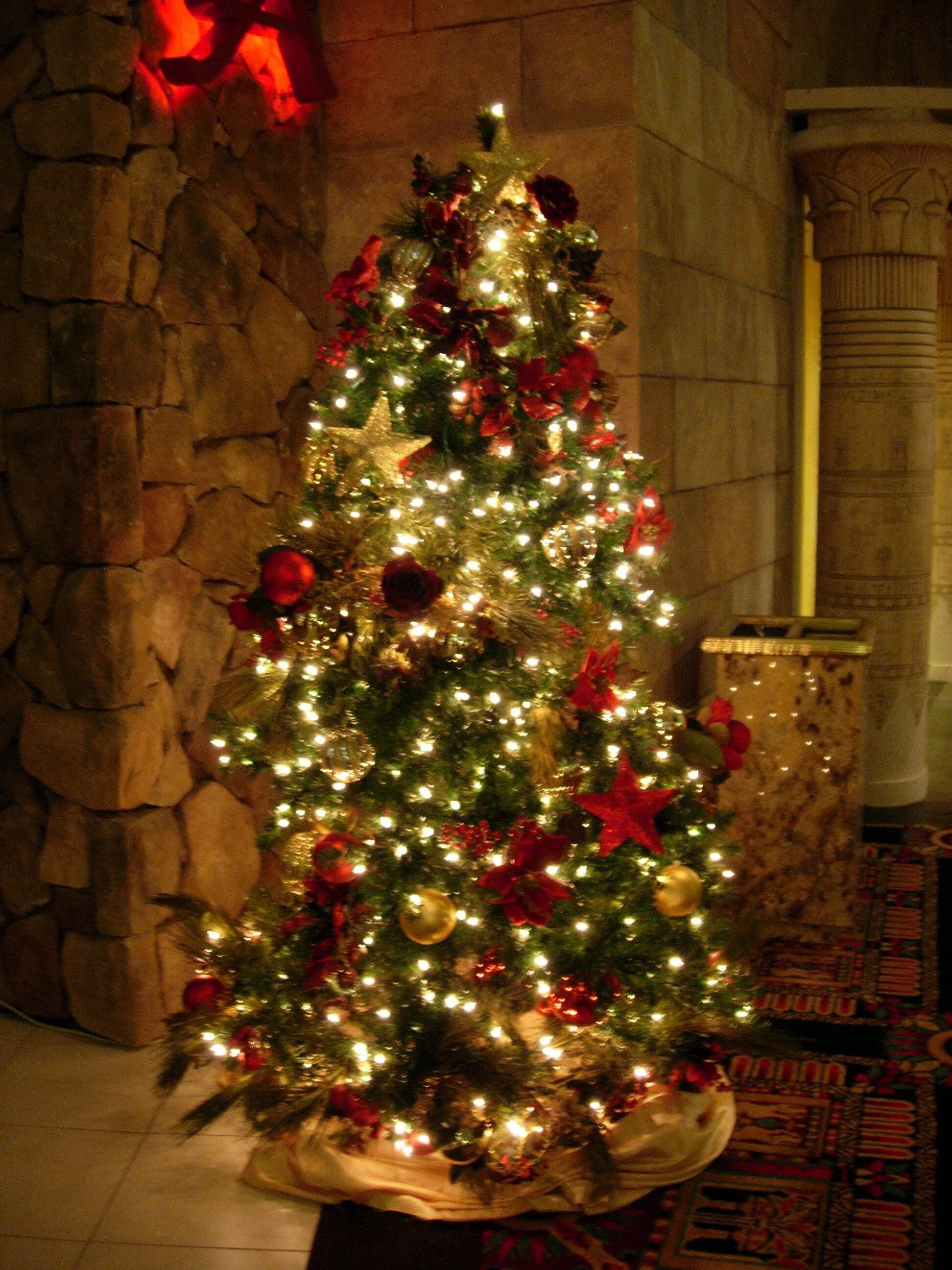 Фотки новогодней елки. Новогодняя елка. Красивая Новогодняя елка. Нарядная елка. Красивая елка.