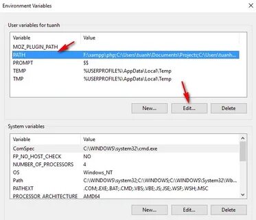 Net environment variables