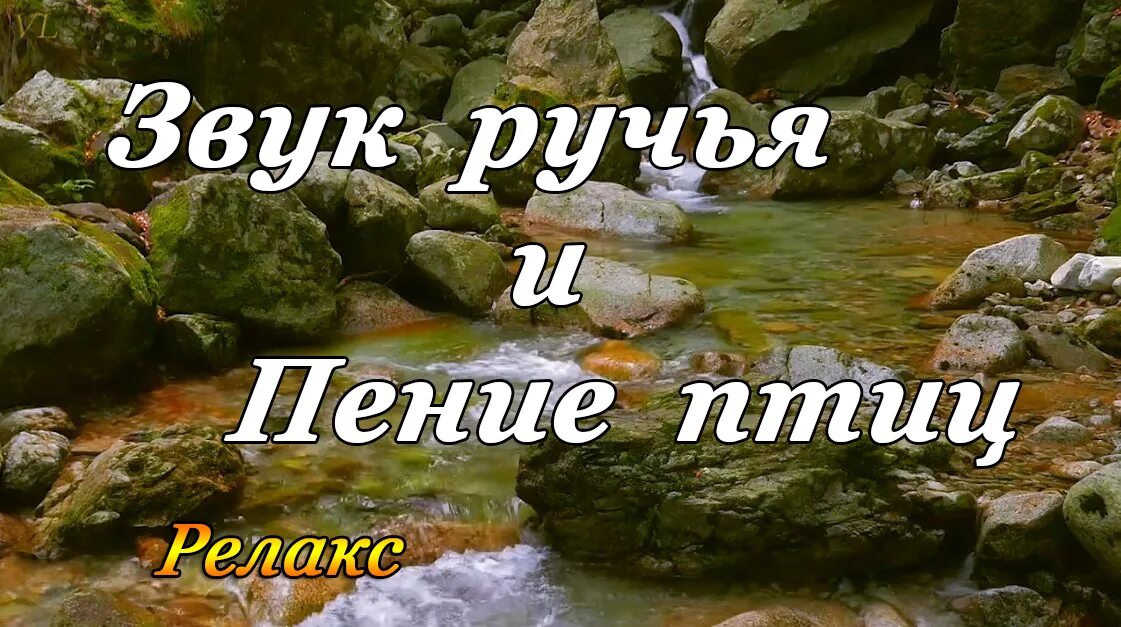 Звук ручья. Журчание ручья и пение птиц. Релакс пение птиц. Шум ручья и пение.