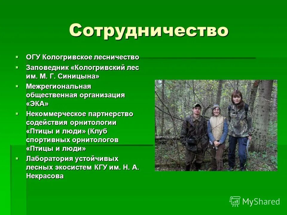 устав лесничества