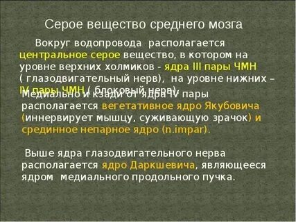 Центральное серое вещество