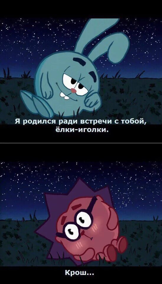 Ежик запишу. Я родился ради встречи с тобой елки иголки. я родился ради встречи с тобой. фразы из смешариков. мем смешарики крош и ежик.