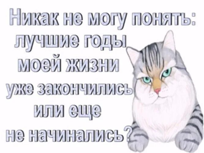 Никак не могу понять лучшие годы моей жизни уже закончились. Никак не могу понять. Никак не могу понять лучшие годы закончились или не начинались. Лучшие годы моей жизни уже закончились или еще не начались.