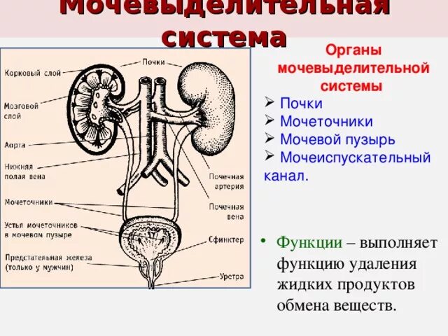 Какую функцию выполняет канал