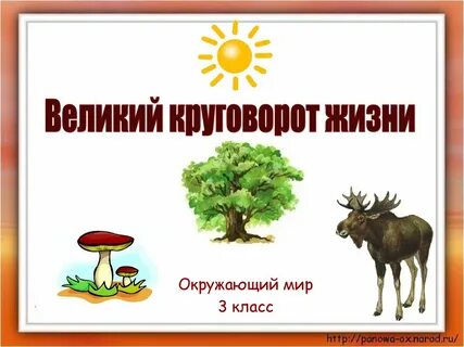 Великий круговорот жизни 3 класс видеоурок