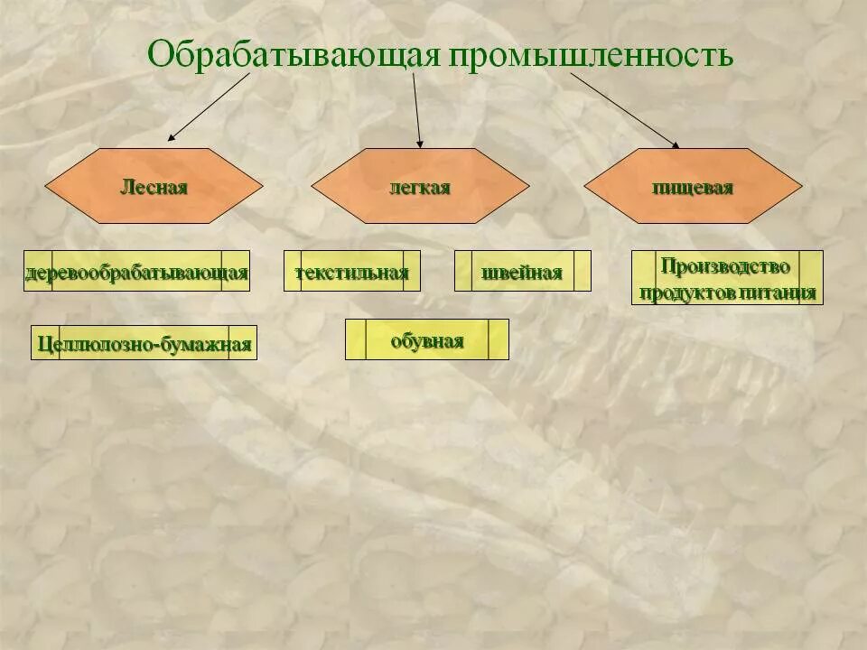 Группа старых отраслей. Обрабатывающая промышленность схема. Отрасли обрабатывающей промышленности. Обрабатывающая промышленность.это отрасли. Виды j,HF,fnsdf,OTQ промышленности.