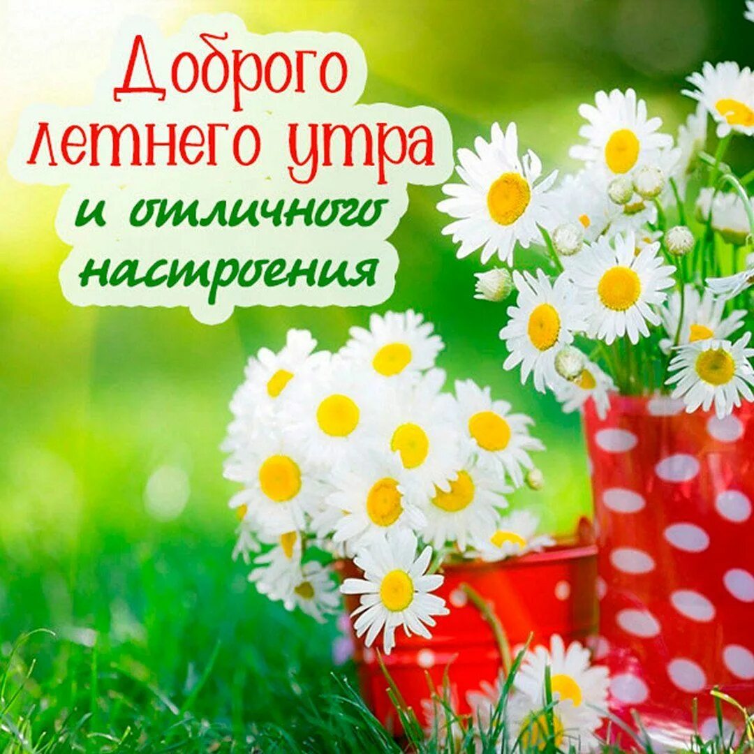 Доброе утро друзья! Пусть выходные принесут вам только положительные эмоции! При