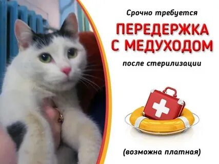 Платная передержка