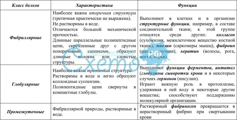 Классификация сложных белков таблица. Классификация простых и сложных белков. - классификация, строение и функции белков биохимия. Характеристика различных классов сложных белков. Строение сложных белков таблица.