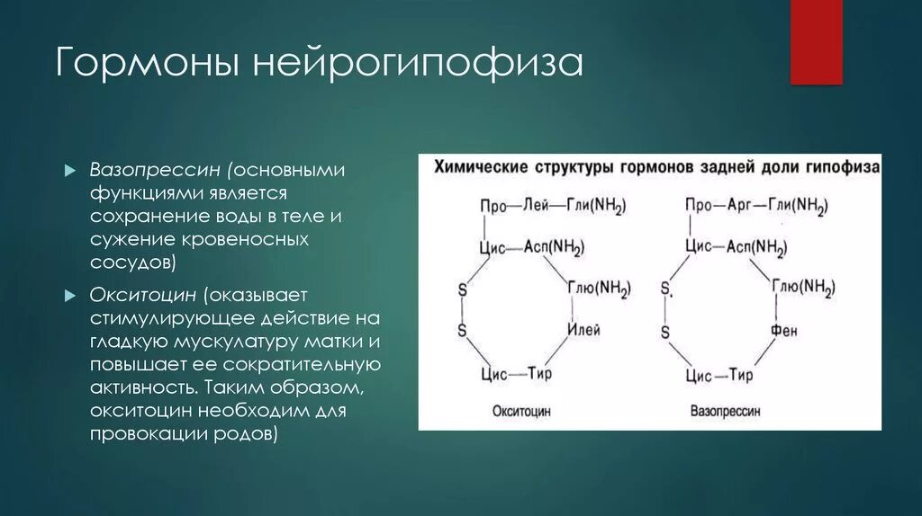 Гипофиза вазопрессин. Структура и функции вазопрессина и окситоцина. Строение вазопрессина биохимия. Окситоцин строение биохимия. Окситоцин биохимия формула.