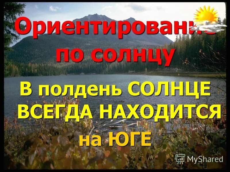 В полдень солнце на юге. Природные признаки ориентирования на местности.