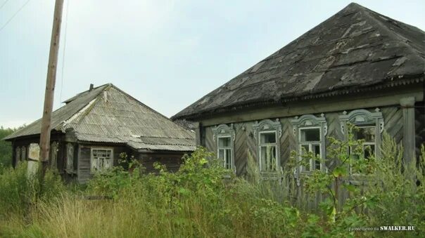 Сельсовет деревня. Кочетки Меленковский район. Деревня Кочетки Владимирской области. Вымирающие деревни Орловской области. Кочетки Меленковский район Владимирская область.