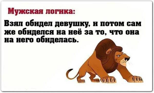 Обидел или обидил как. Мужская логика. Афоризмы про мужскую логику. Мужская логика цитаты. Мужская логика юмор.