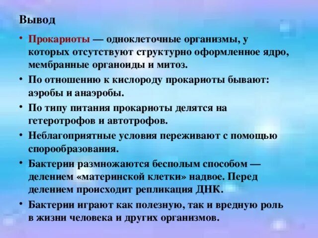 Человек прокариот