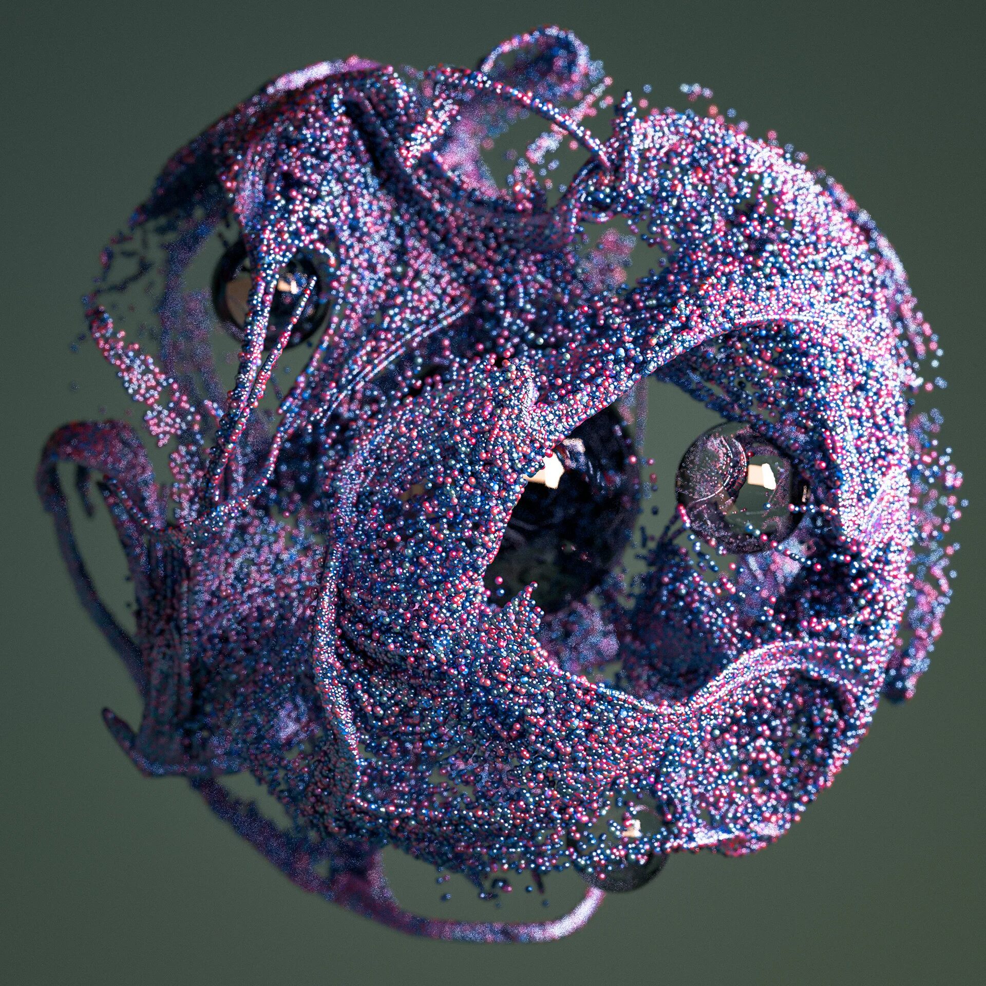 C 4 d 12