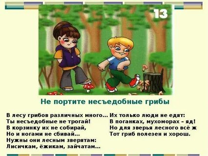 Собирающий какой вид