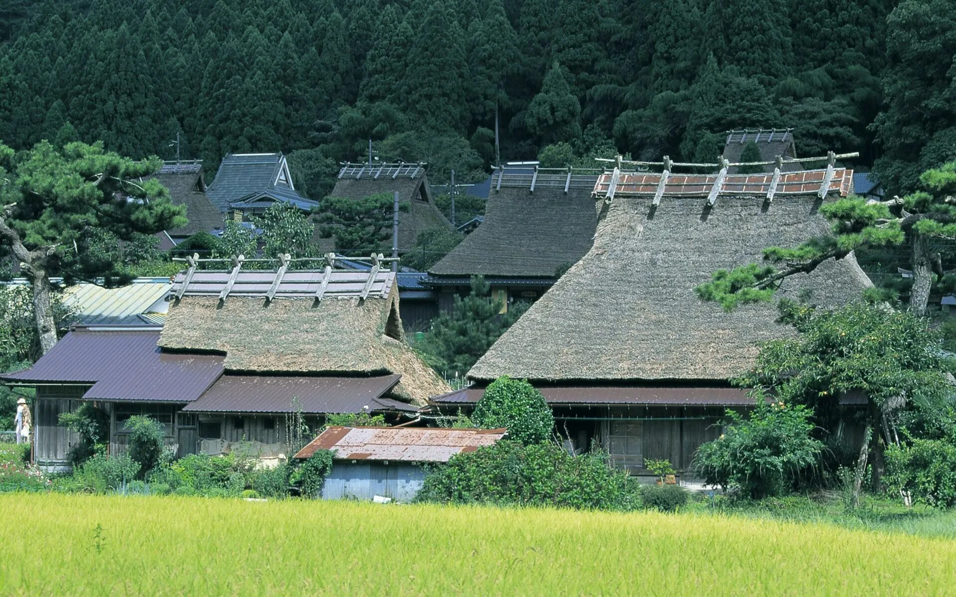 Japanese village. Японская деревня. Японский деревенский дом. Япония Сельская местность. Деревенский домик в Японии.