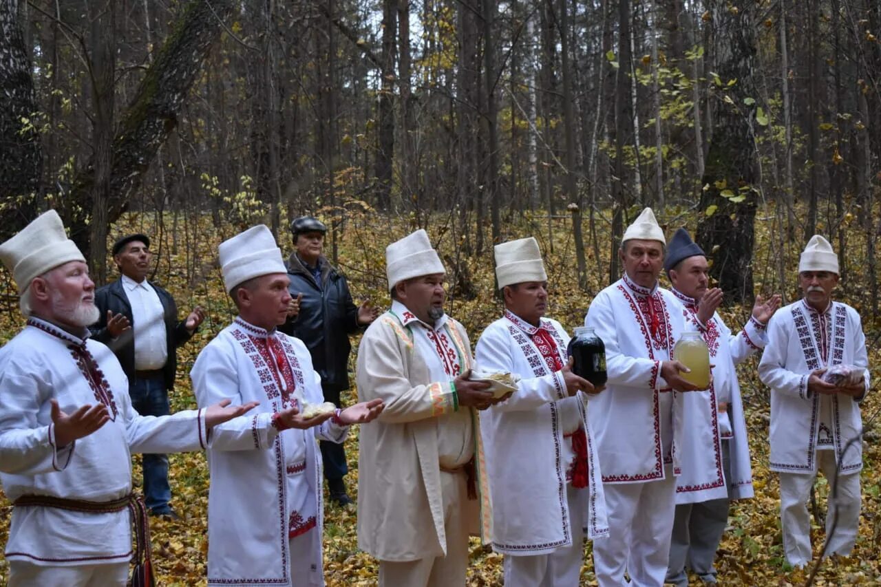 Какое дерево почиталось народами сибири