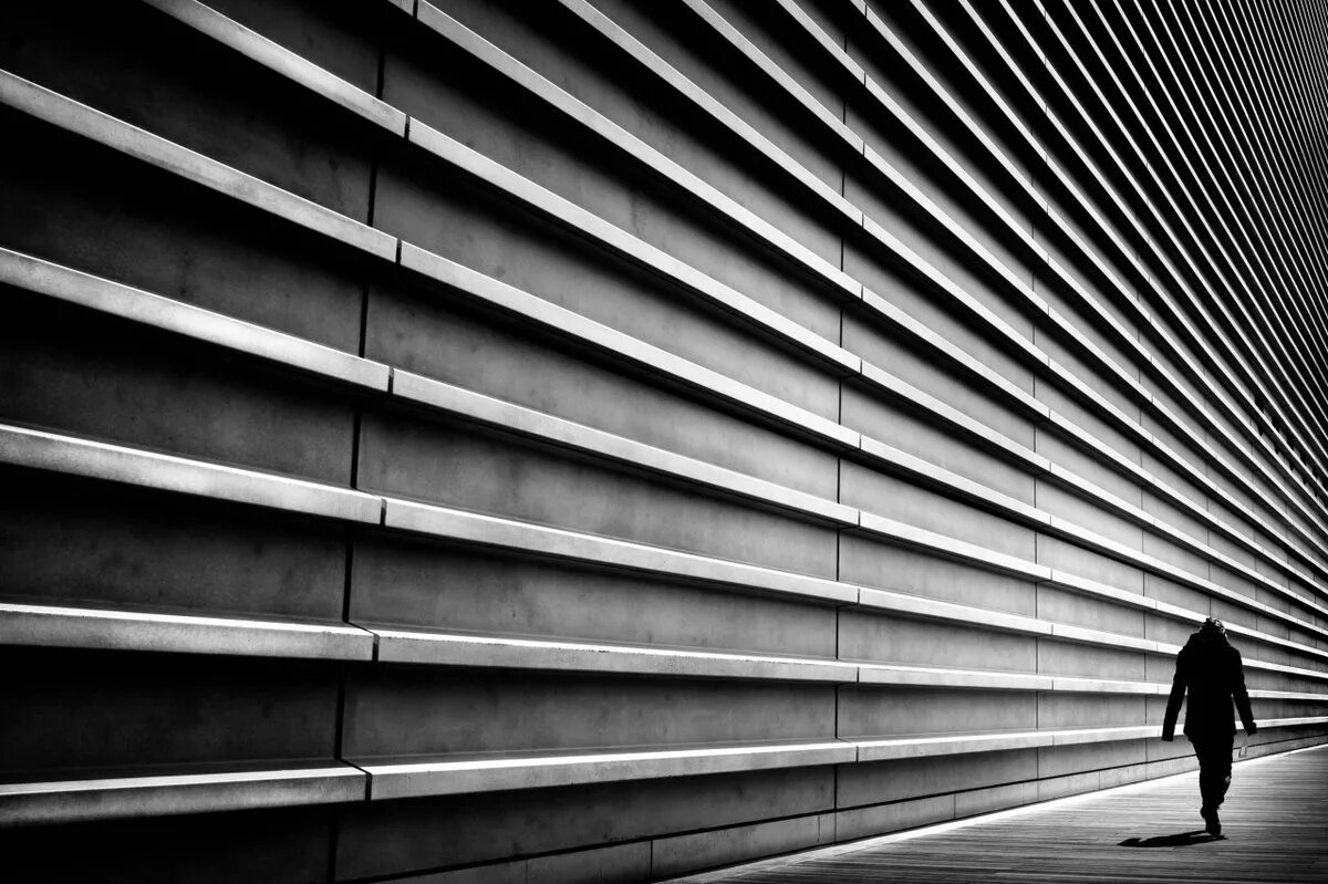 Линейная композиция снимка. Диагональная композиция. Центральная композиция. Контраст текстур. Диагональные линии в композиции.