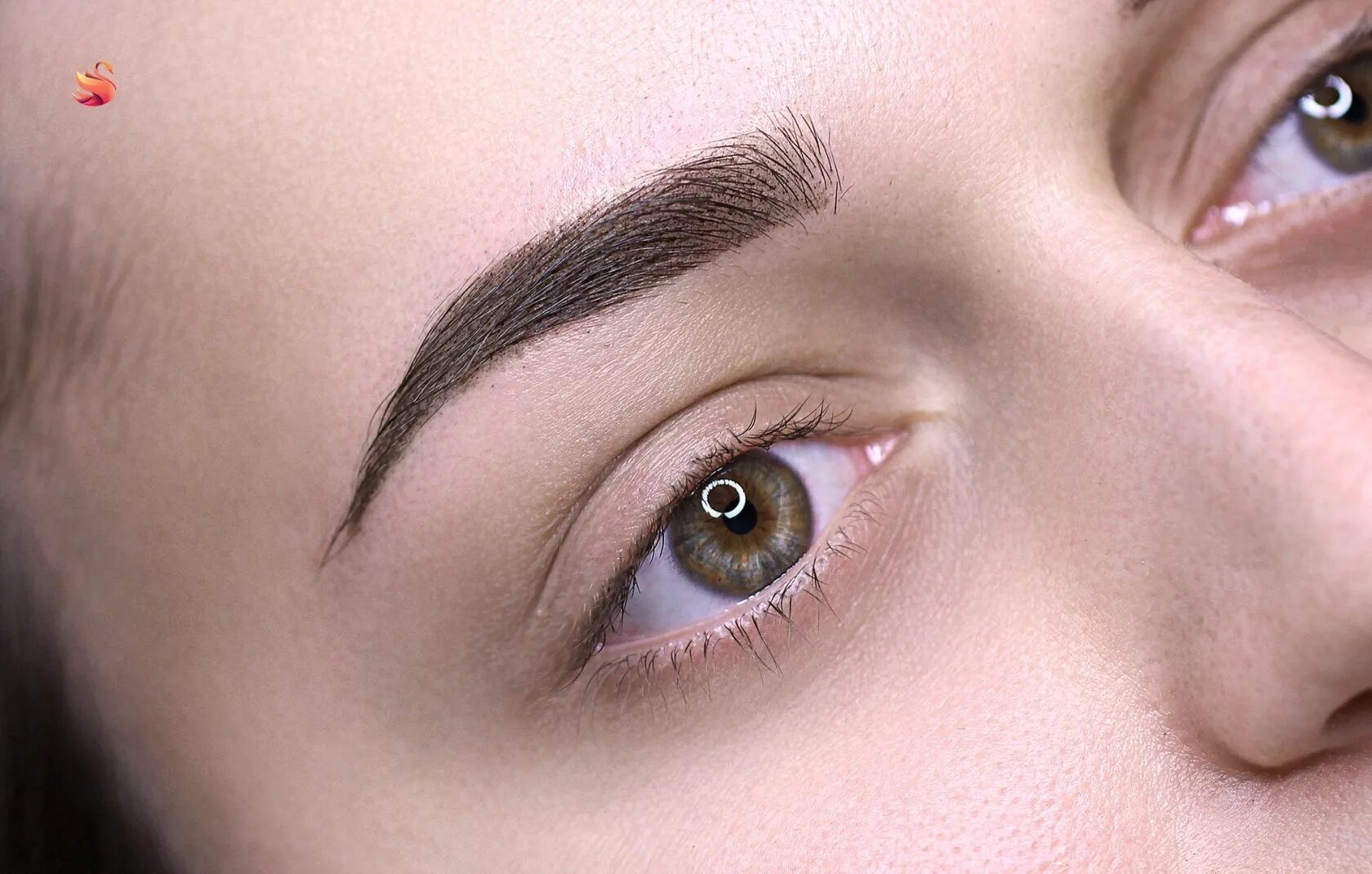 какие брови дольше держаться. классическая форма бровей. какие брови дольше держаться. перманентный макияж бровей. правильные брови.