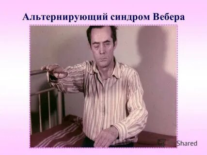 Паркс вебера рубашова