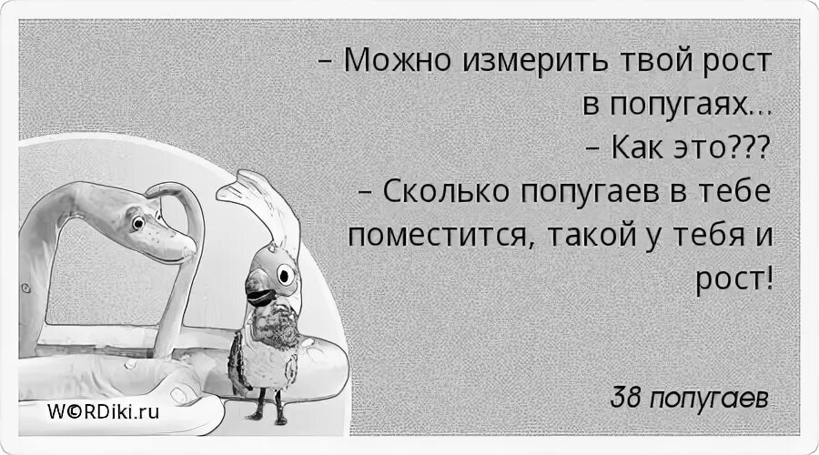 38 попугаев и одно попугайское