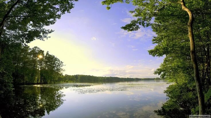 Download Stunning 3D Waterfall in a Lush Forest Wallpaper Wallpapers.com