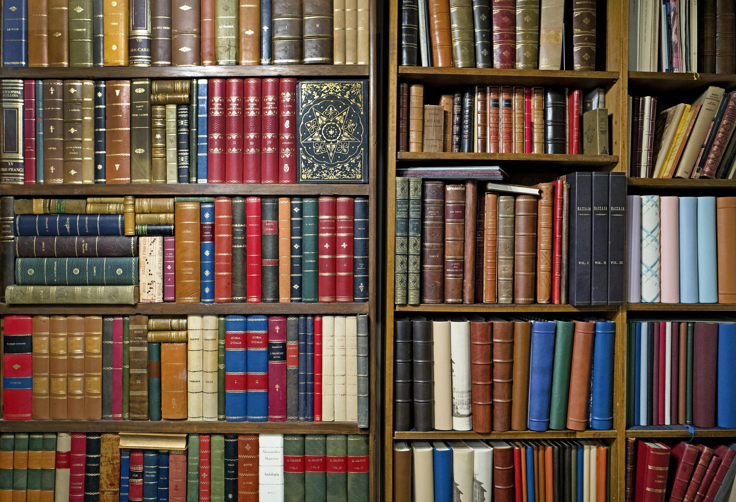 A pile of Libertarian books. Table and blurred Bookshelves. Table and blurred Bookshelves Art. Know your books