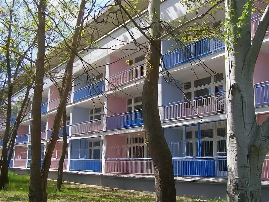 Пионерский лагерь алые паруса анапа. Алые паруса лагерь волгоградская область. Алые паруса на английском языке. Детский лагерь алые паруса анапа. Алые паруса лагерь калач на дону фото.