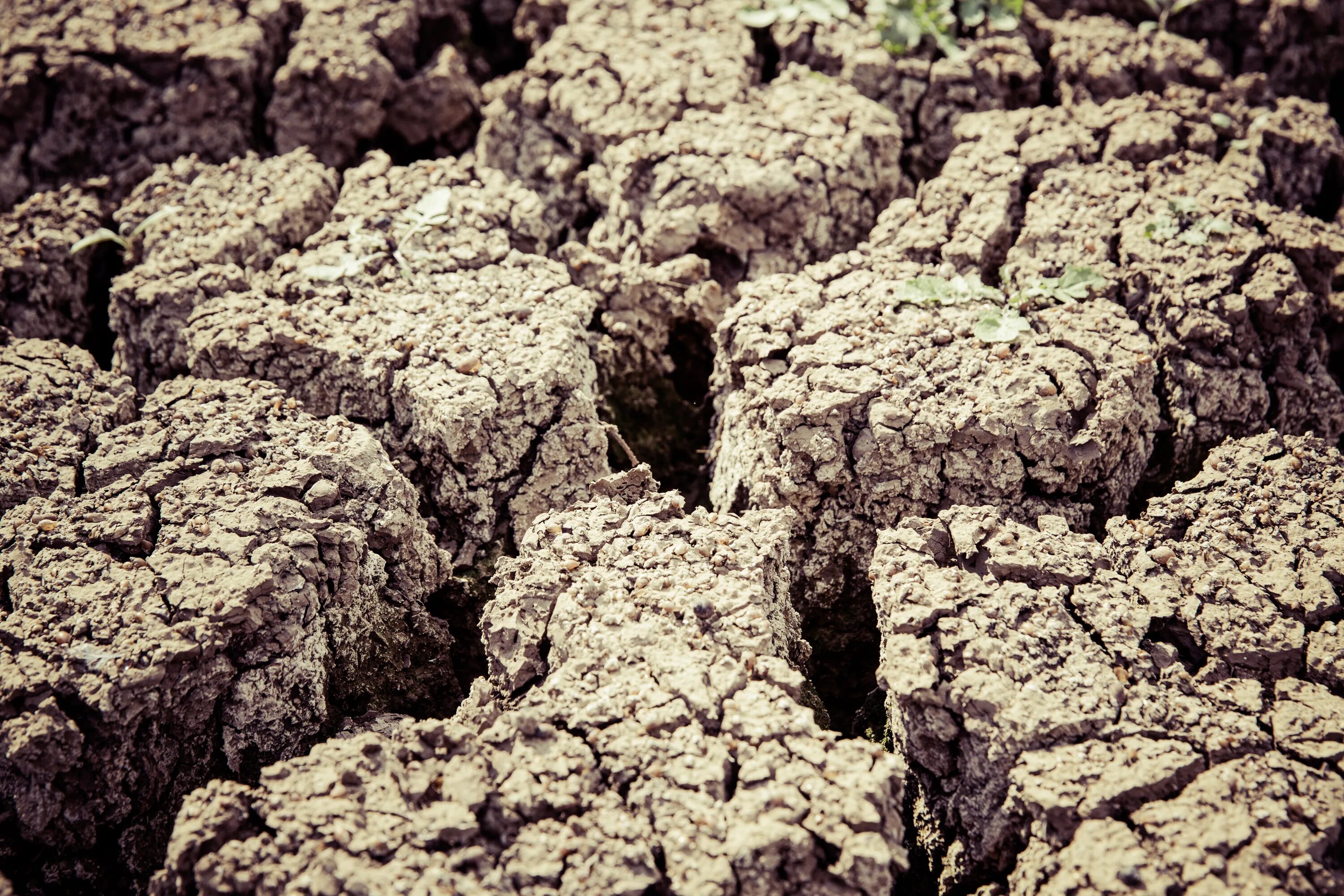 Сухая картинка. Сухой грунт. Почва. Сухая земля. Сухость почвы.