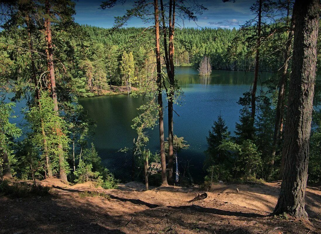 озеро голубое ленинградская область выборгский. озеро голубое ленинградская область выборгский. озеро мичуринское ленинградская. озеро голубое ленинградская область выборгский. лагерь дол голубое озеро.
