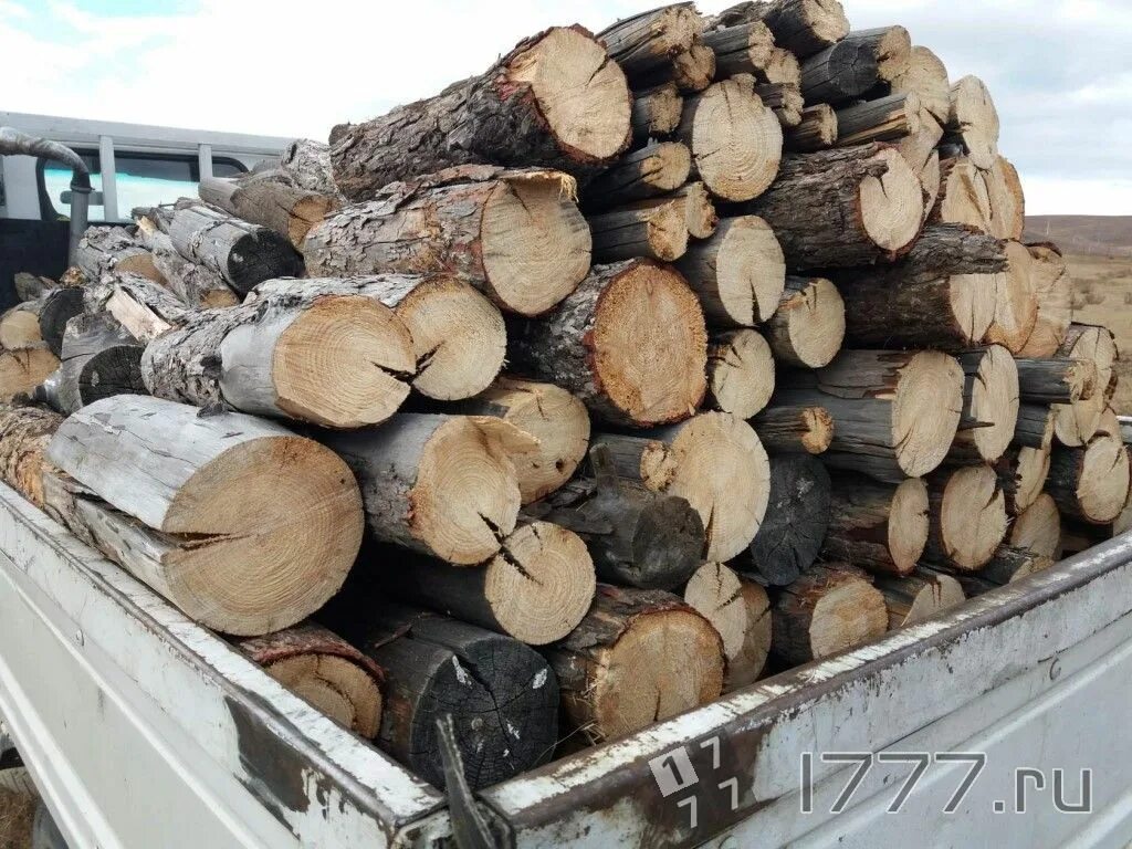 Дрова клен. Дрова клен,фруктовые. Дрова для мангала (дуб-ясень) в сетке. Американский клен на дрова. Куплю дрова дуб