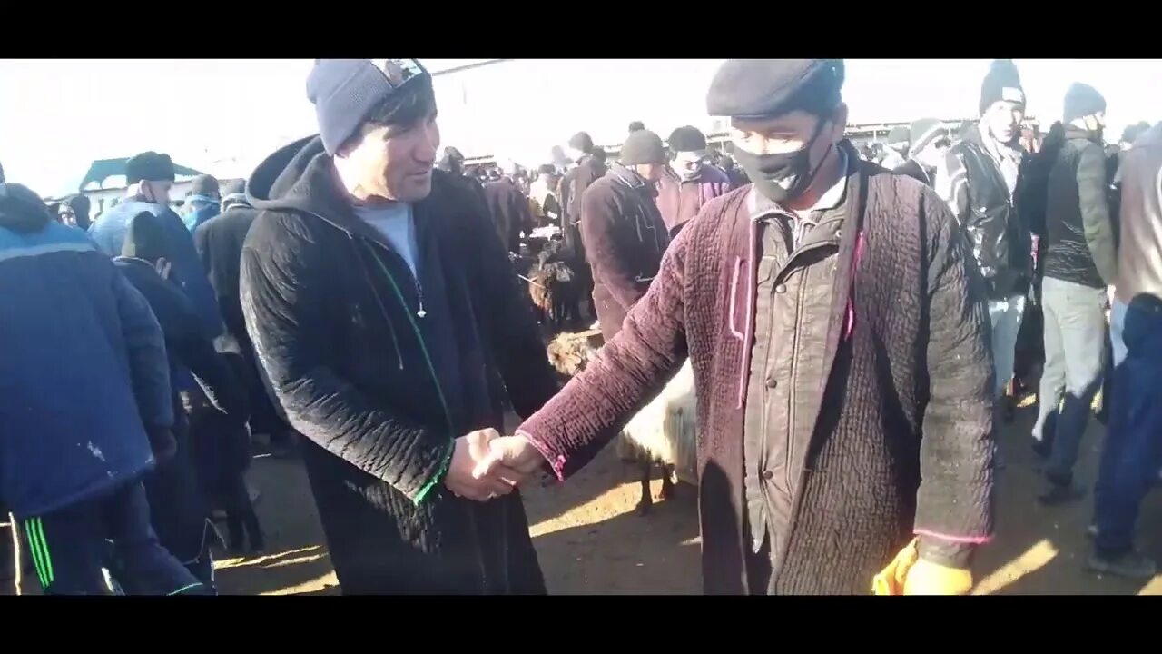Об хаво. Погода кизирик 10. Кизирик тумани. Об хаво эртага. Обухово кизирик.
