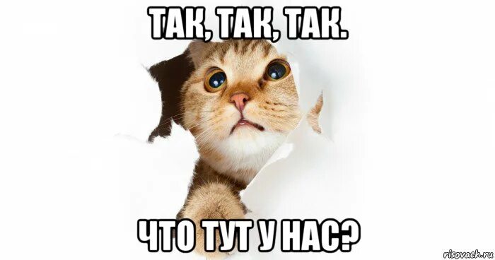 Вадим зеланд если ваш муж наркоман. Тут мы встретим. Лучший подписчик. Тебя здесь быть не должно мем. Опять ты мем.