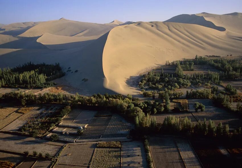 стихийное освоение территории. восстановление лесов. антропогенный ландшафт. освоение природных территорий. природные богатства сибири.